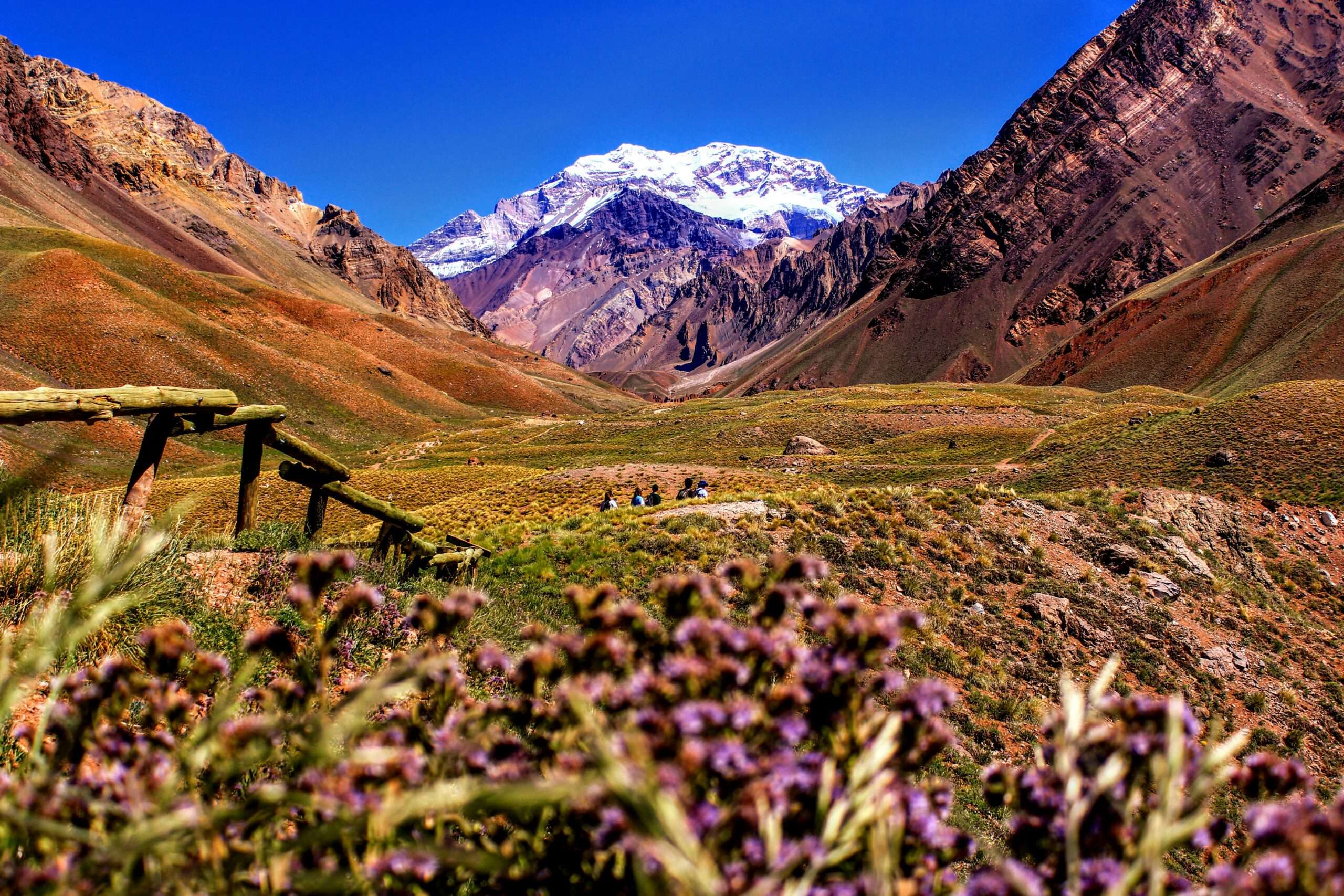 Car rental in Argentina