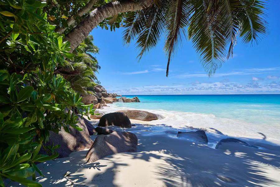 Car rental in Seychelles